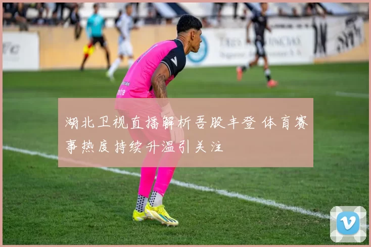 湖北卫视直播解析吾股丰登 体育赛事热度持续升温引关注