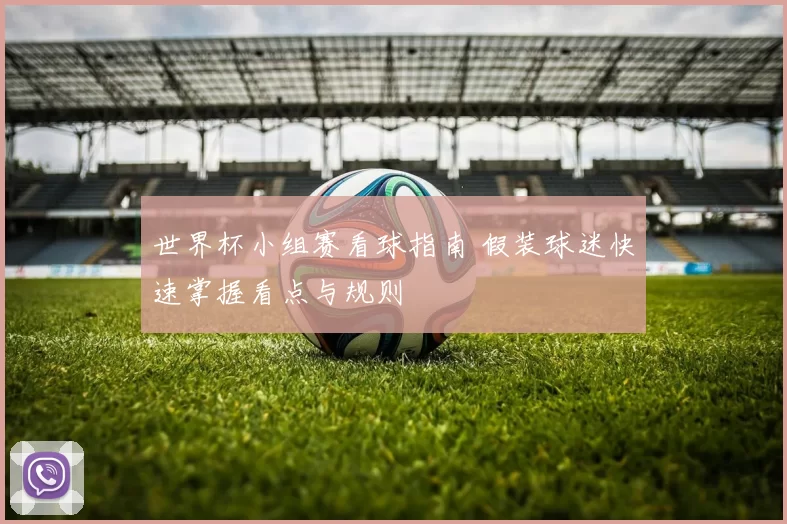 世界杯小组赛看球指南 假装球迷快速掌握看点与规则