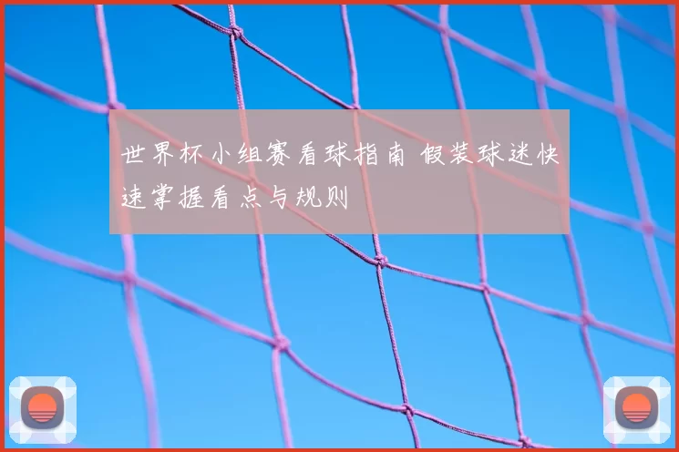 世界杯小组赛看球指南 假装球迷快速掌握看点与规则